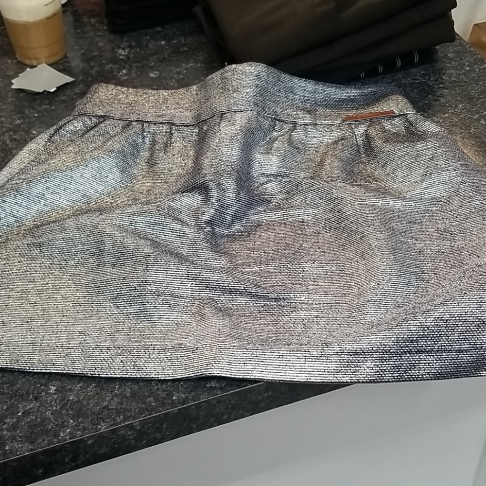 Silver skirt